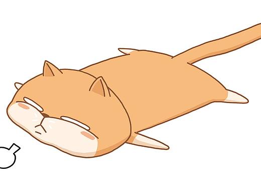 猫寄养给我爸之后