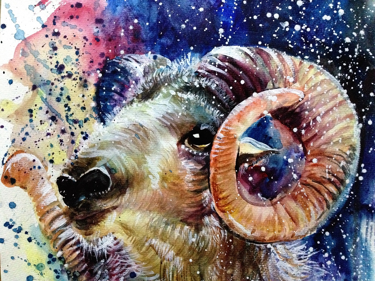 泼洒系列——《盘羊》(羊年)|纯艺术|水彩|mayinghua - 原创作品