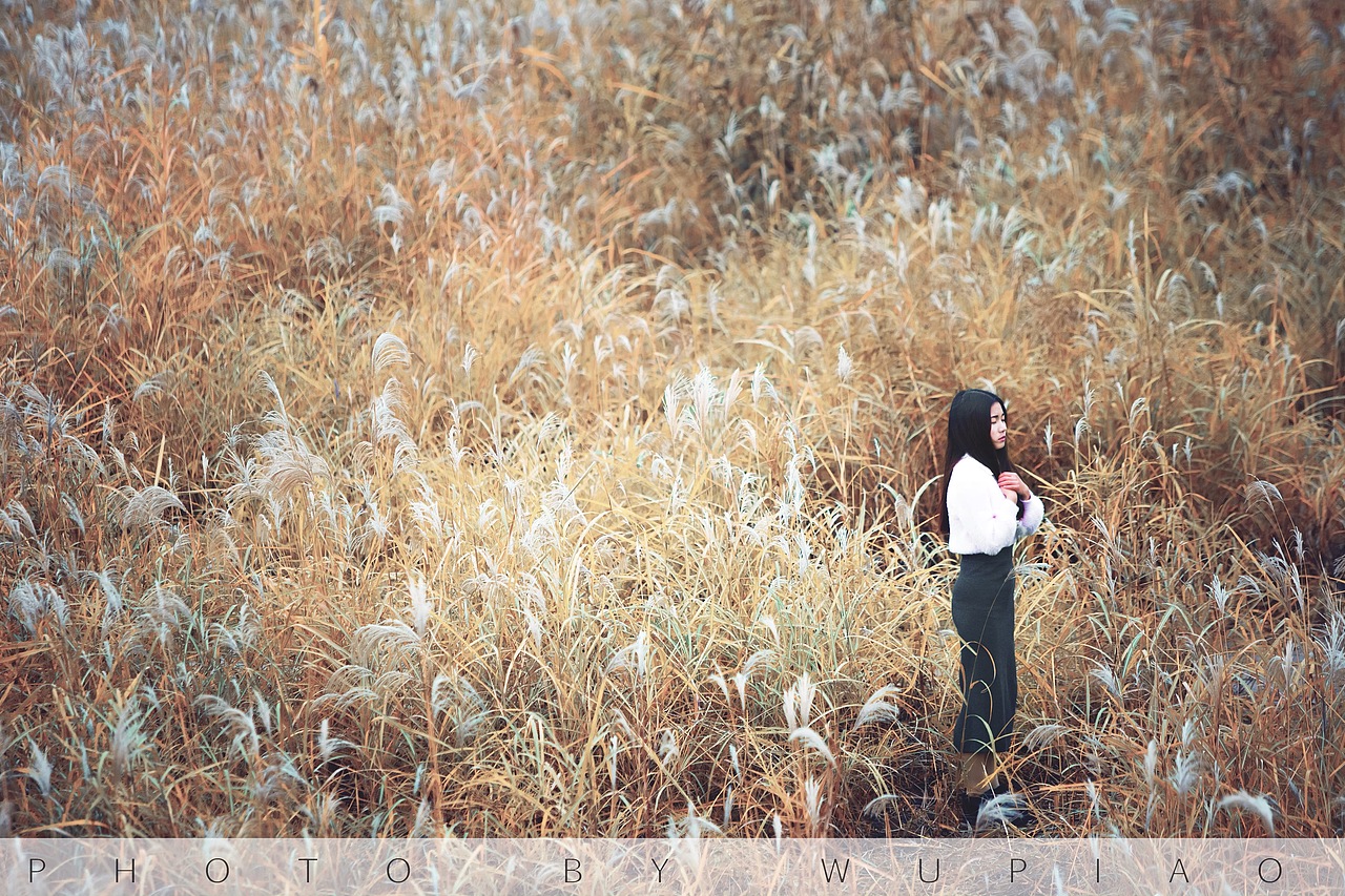 风车，芦苇（图ZMTU2ODA4MzQ4） - 人像摄影 - 站酷设计师摄影师吴飘原创素材 - 站酷ZCOOL