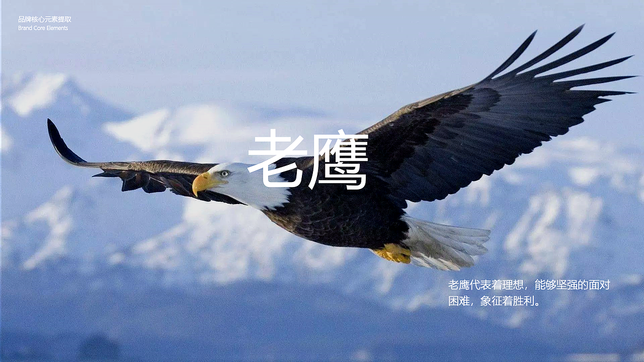 LOGO（图ZMTkwMTQyMTYw） - 品牌 - 站酷设计师Mounai原创素材 - 站酷ZCOOL