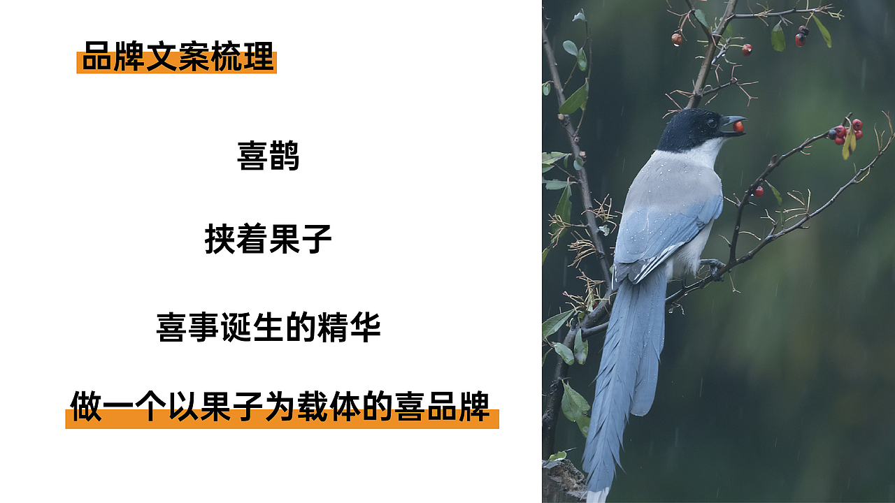 讨喜果子-果子品牌包装（图ZMjkxMDcwMjQ4） - 包装 - 站酷设计师biubiukevin原创素材 - 站酷ZCOOL