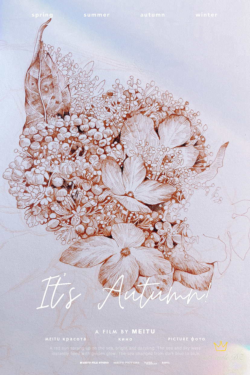 蘸水笔针管笔｜山绣球（图ZMzIwNDM4MzMy） - 艺术插画 - 站酷设计师CatCastleDZ原创素材 - 站酷ZCOOL