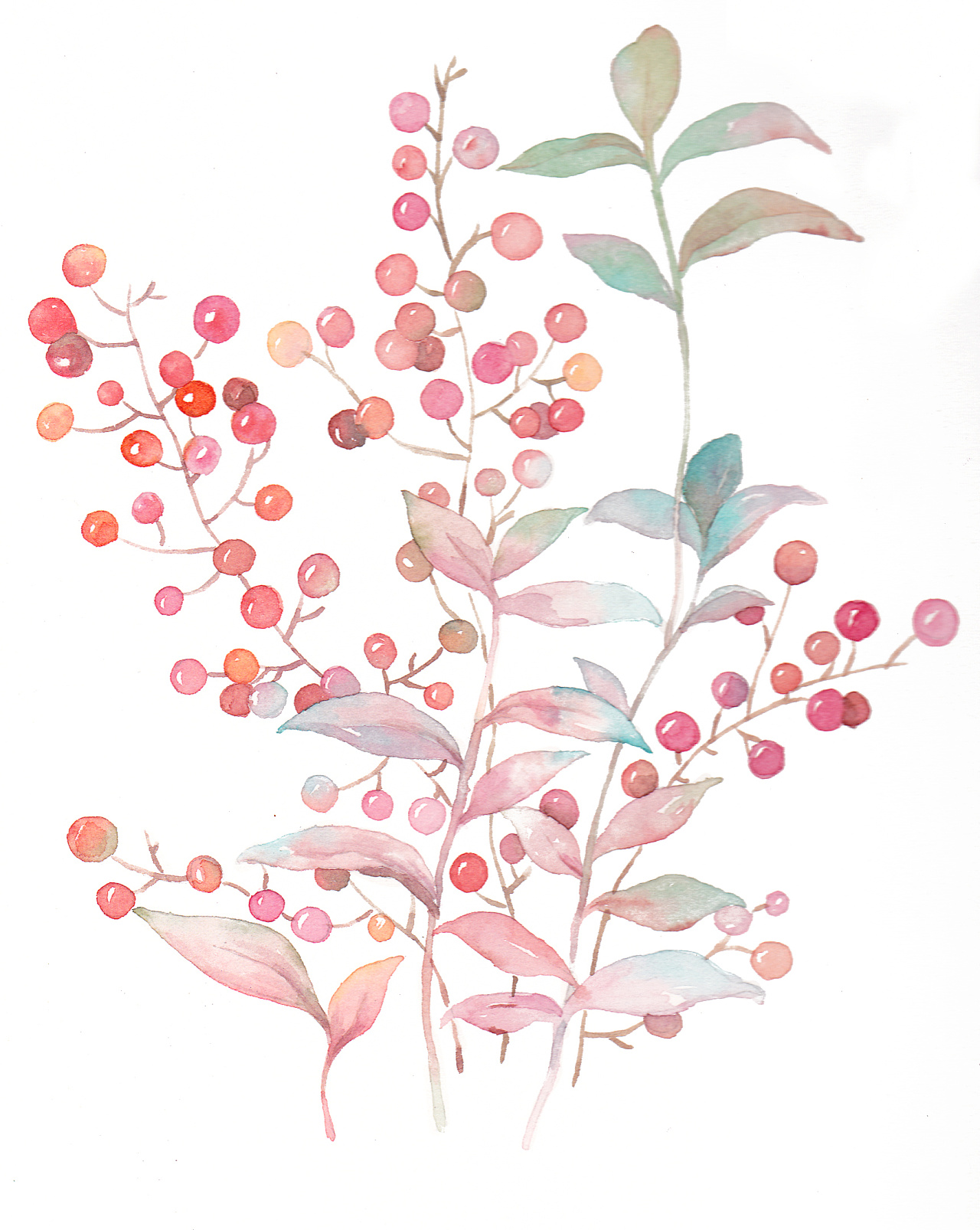 夏日红果|插画|插画习作|杉田 - 原创作品 - 站酷 (zcool)