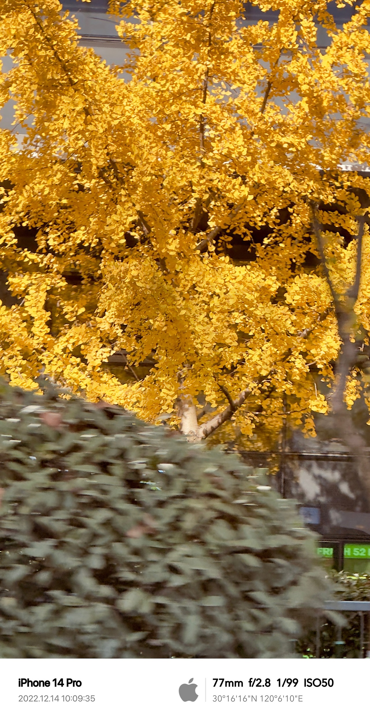 Clint手机摄影/生活观察2022Q4（图ZMzQ1ODI5NjU2） - 人文/纪实摄影 - 站酷设计师Clint克林原创素材 - 站酷ZCOOL