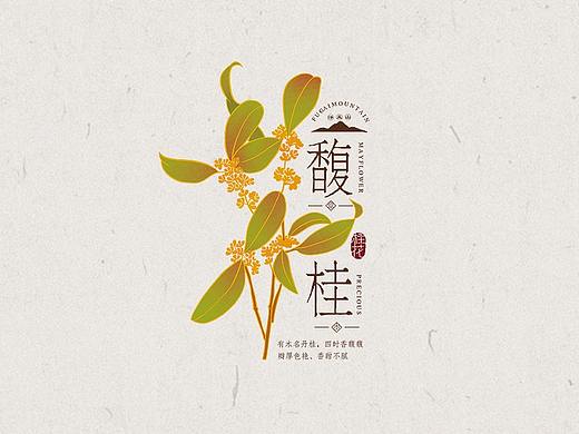桂花茶/蜜包装设计