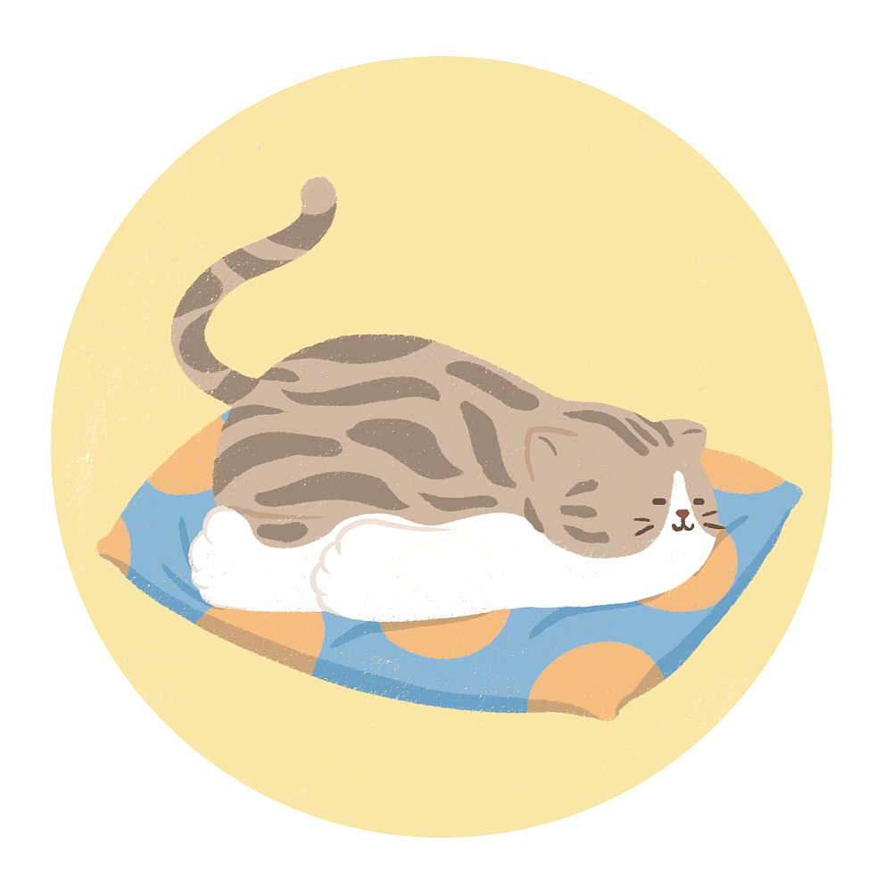 土肥圆 /猫咪插画/第一波（图ZMjQ5NzM0ODQ0） - 创作习作 - 站酷设计师沉清Evechan原创素材 - 站酷ZCOOL