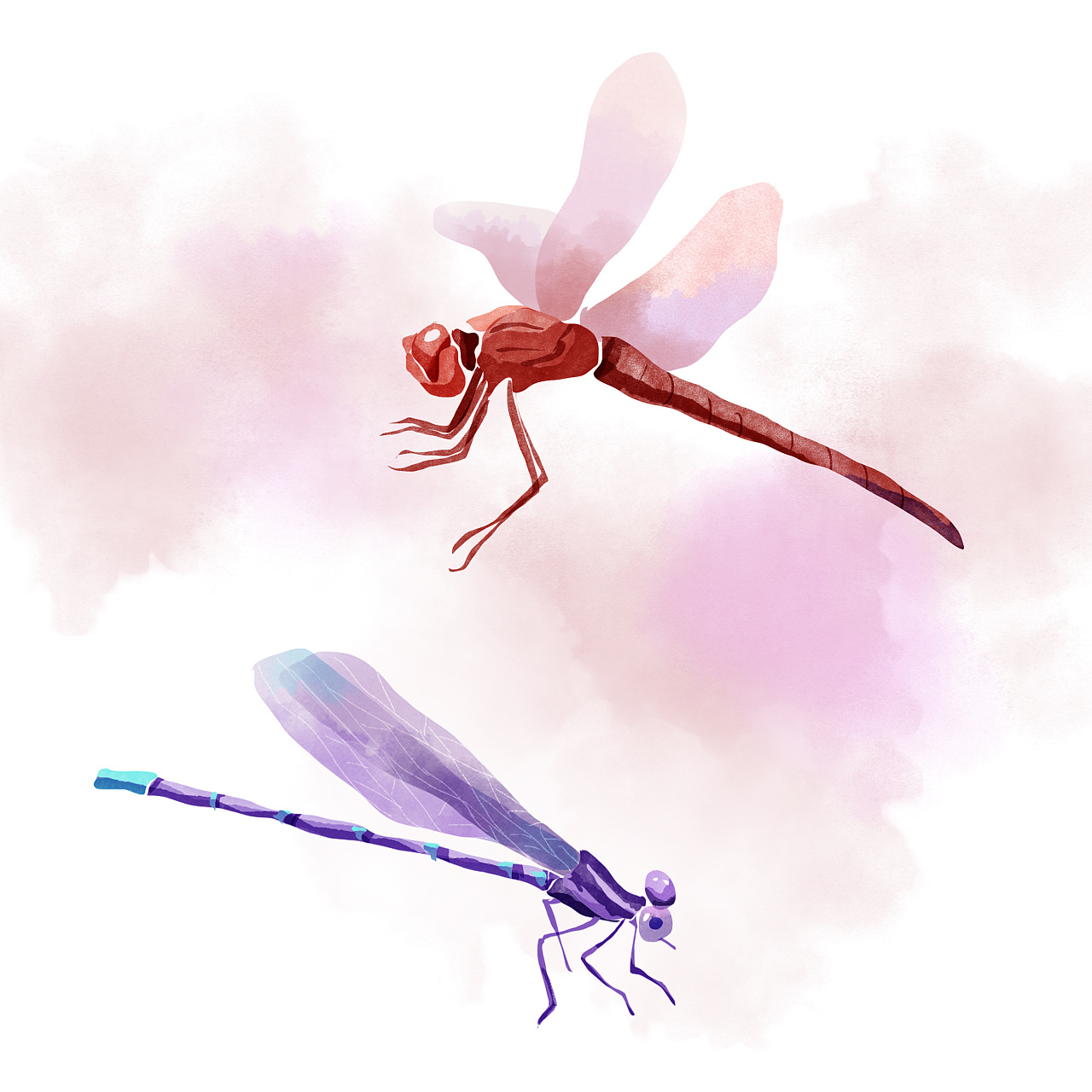 9月快到了画点简单的小蜻蜓|插画|商业插画|富富小姐 - 原创作品