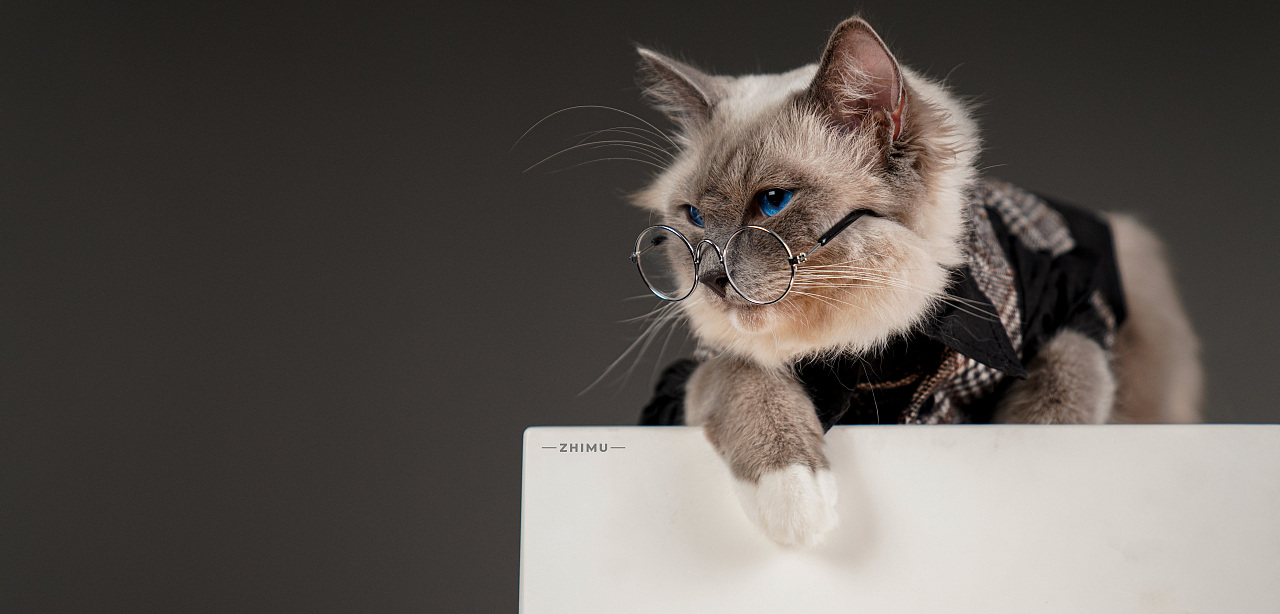 宠物摄影源计划-Niko（图ZMjU5NDkwODk2） - 宠物摄影 - 站酷设计师至牧原创素材 - 站酷ZCOOL