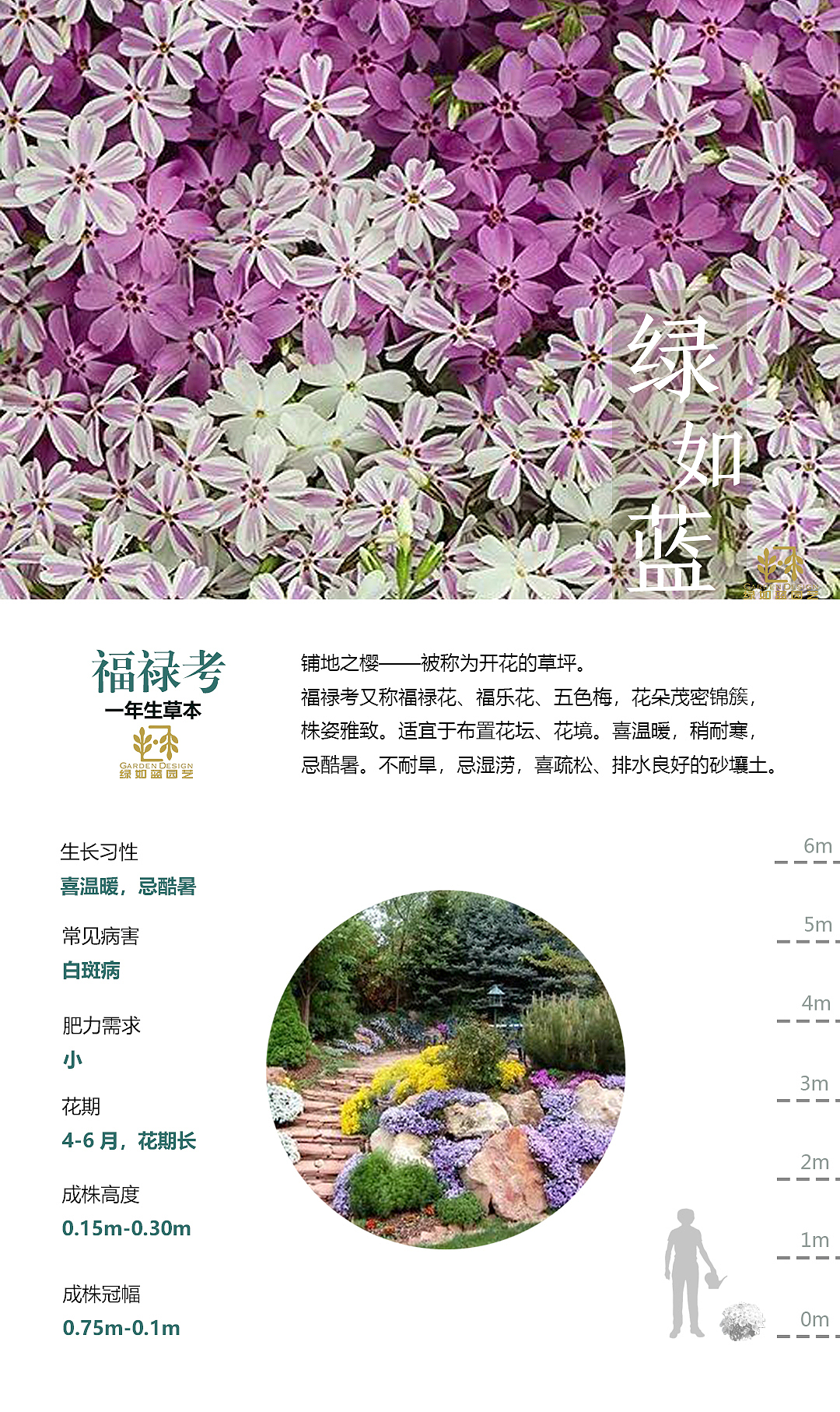 绿如蓝植物拓展