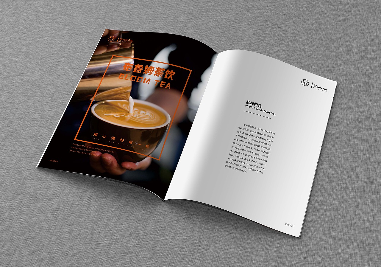 布鲁姆-普宁店画册