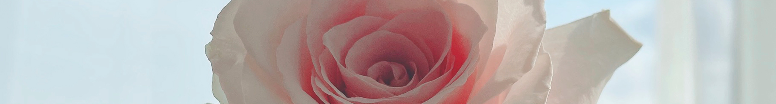 多迷的個人主頁（封面預(yù)覽） - 主頁封面設(shè)置 - 站酷設(shè)計師多迷原創(chuàng)素材 - 站酷ZCOOL