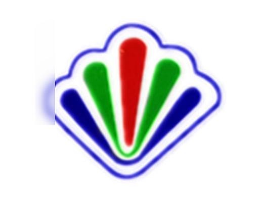 广东15大电视台·有线电视台老台标