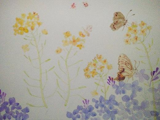 【油菜花】【堇菜花】