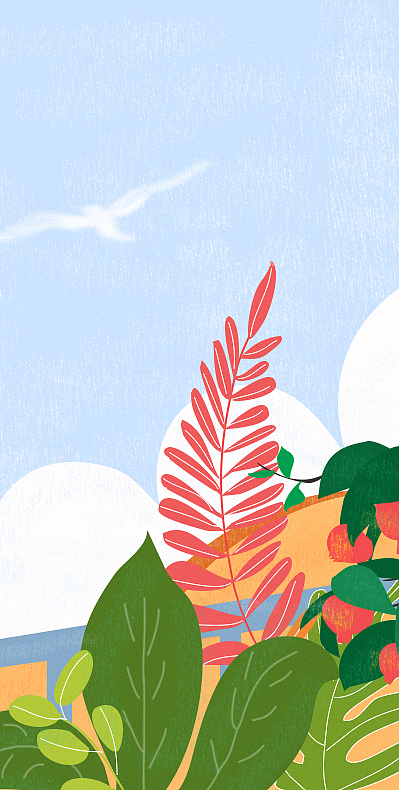 插画-初秋 石榴熟