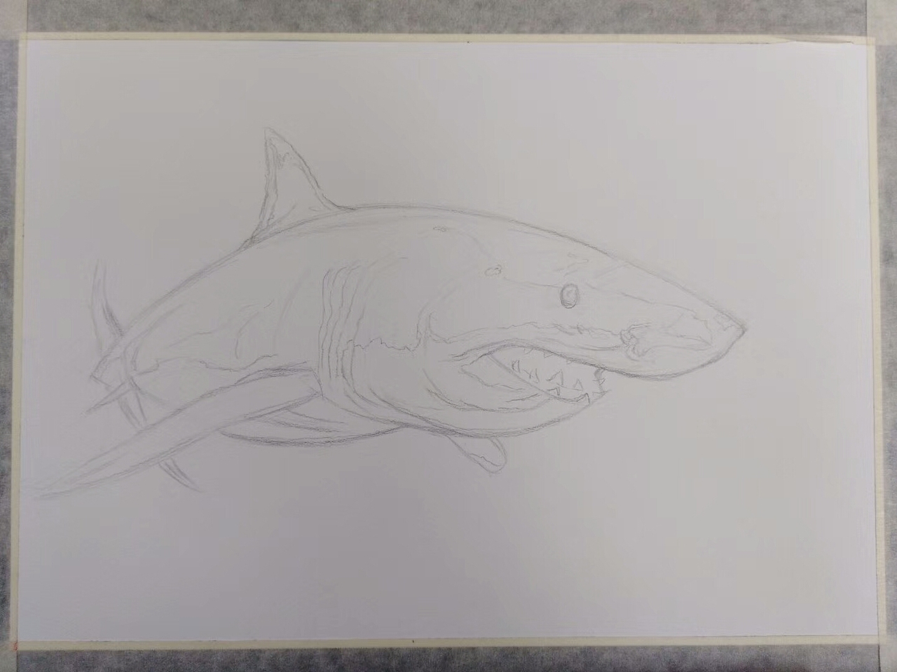 墙角笔触技嗜血狂魔大白鲨彩铅教程