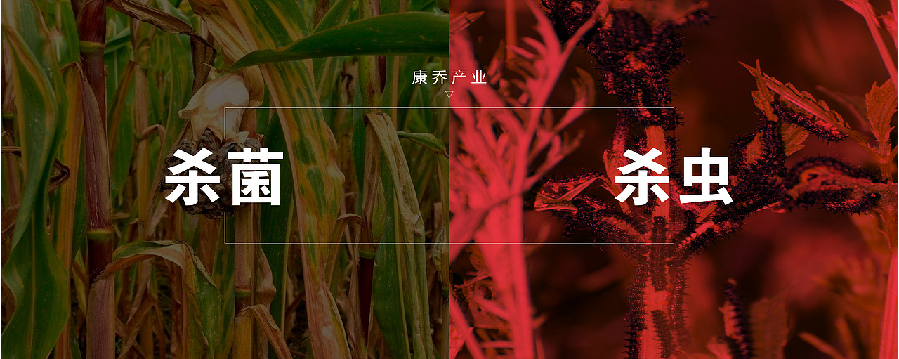 创新自信-康乔生物品牌视觉形象设计