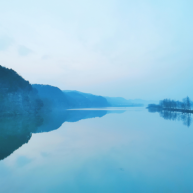 2021年手机摄影总结