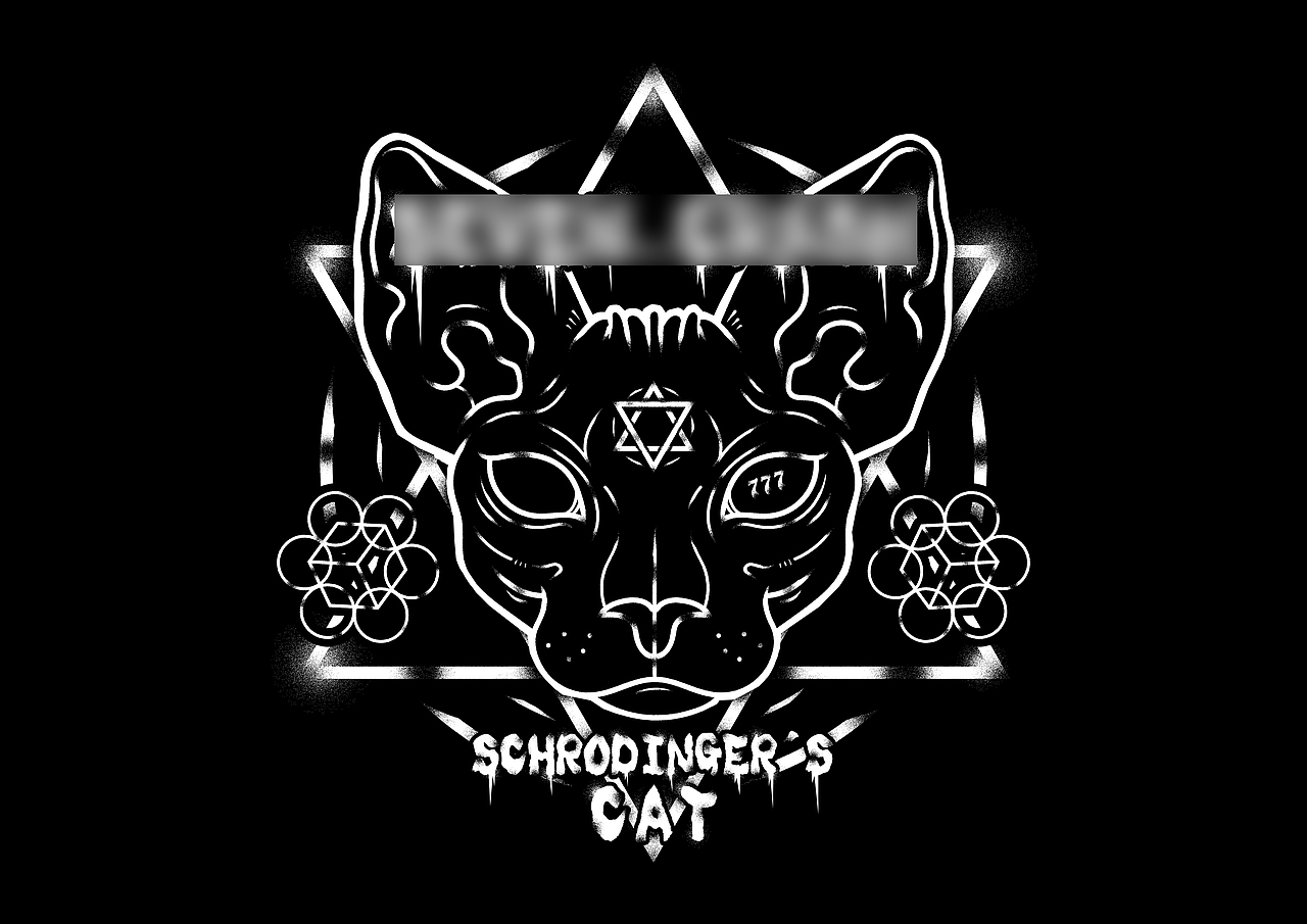 薛定谔的猫
