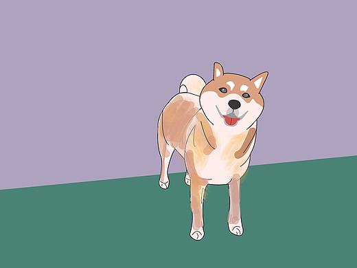 ”歪头杀“柴犬系列