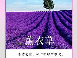 一些微信图片