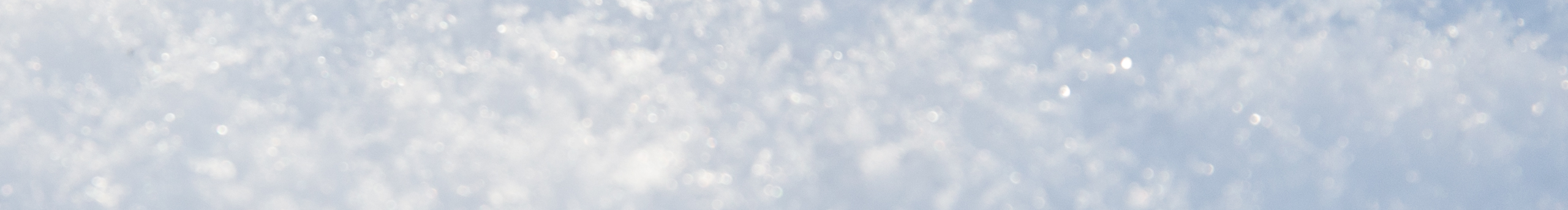 Maggie_XY的个人主页（封面预览） - 主页封面设置 - 站酷设计师Maggie_XY原创素材 - 站酷ZCOOL