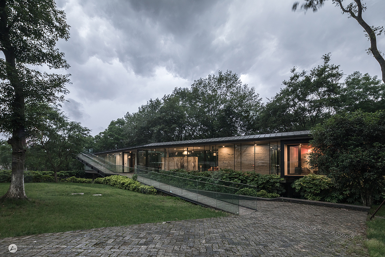 「建筑摄影」Water Lilies 睡莲