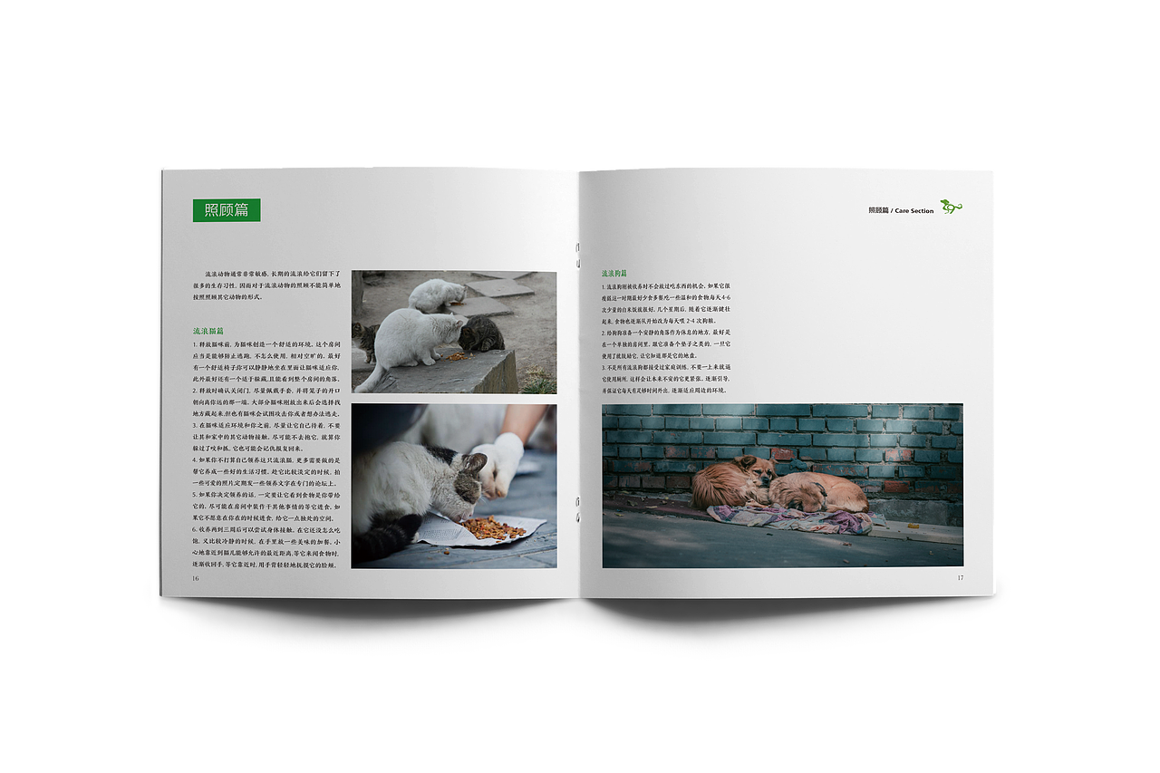 流浪动物救助手册 Rescue Manual for Stray Animals