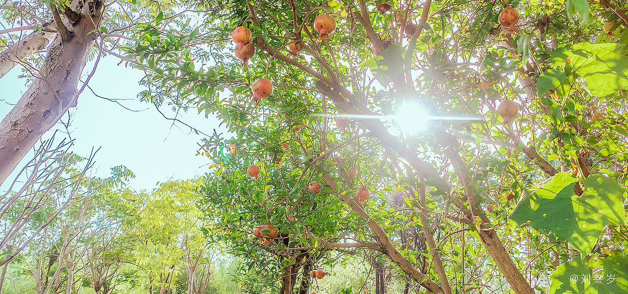 家附近随拍（三）（图ZMjE4OTExNjg4） - 风光摄影 - 站酷设计师劉九期原创素材 - 站酷ZCOOL