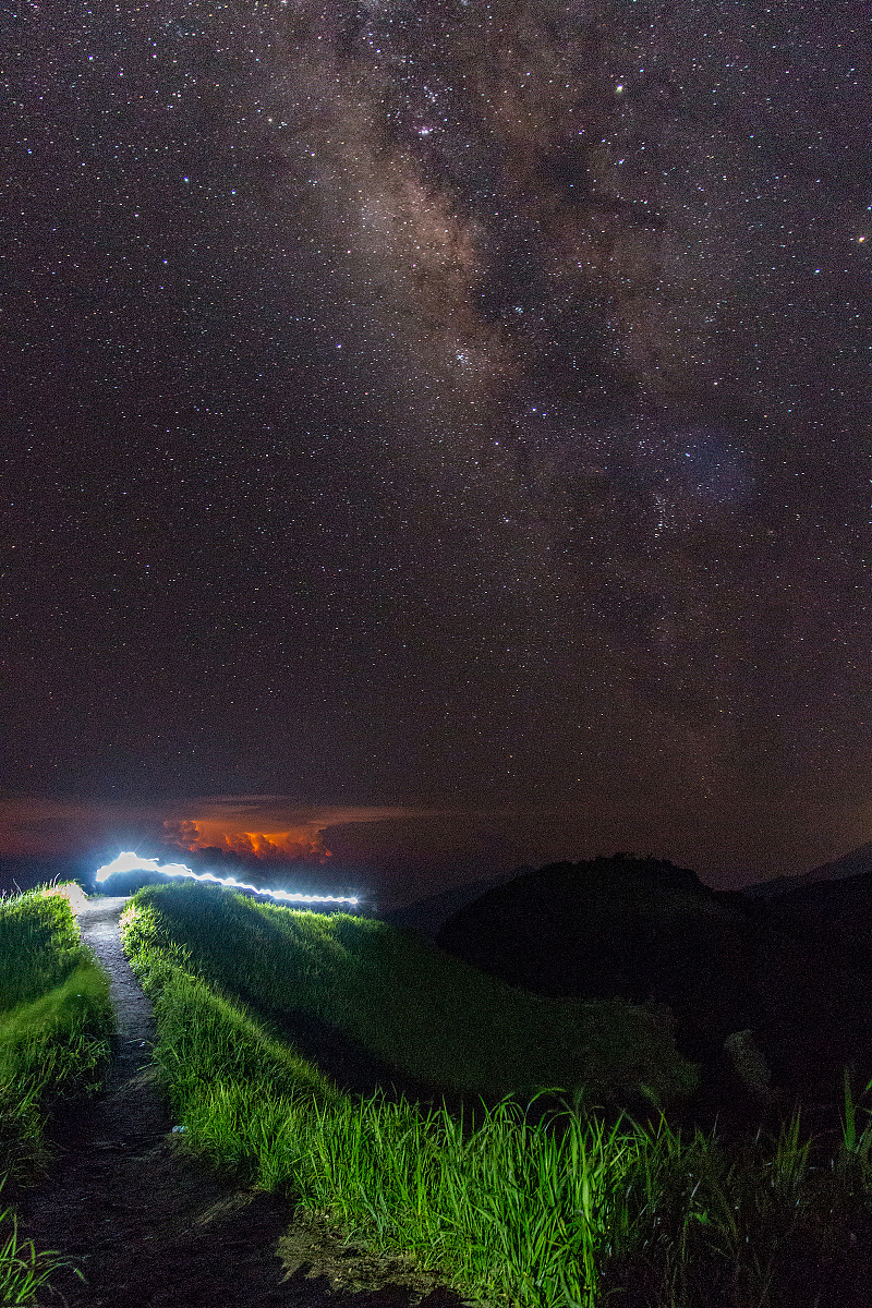 每一个不曾起舞的日子,都是对生命的辜负——新年影展上