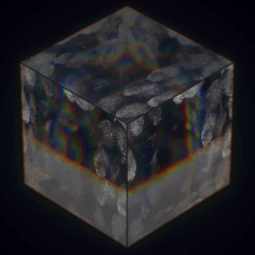 C4D-Octane-Everyday 五月作品(商业和练习)