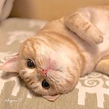 陈阿泡的头像