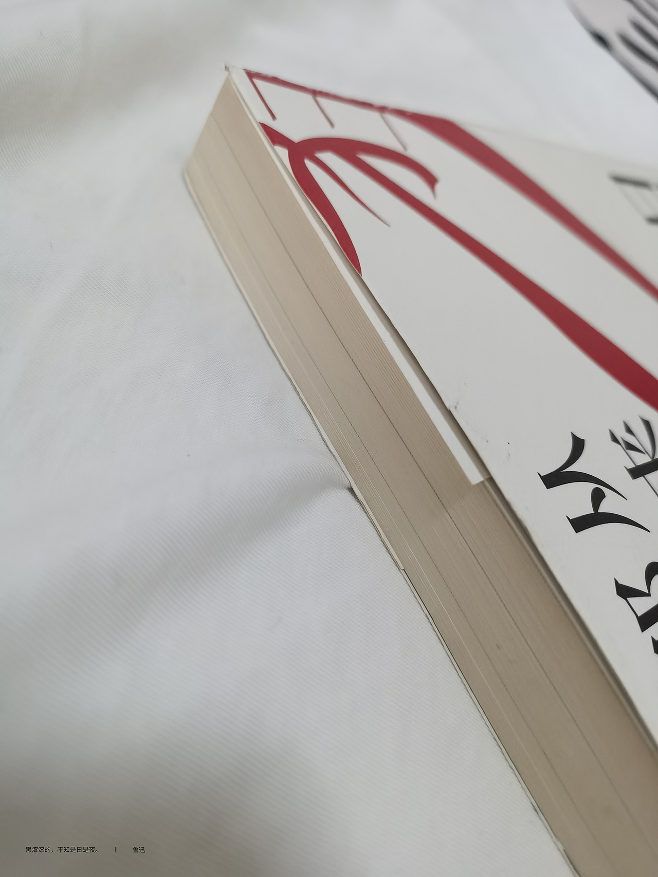 鲁迅《狂人日记与朝花夕拾》