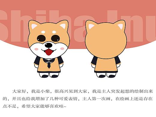 小柴IP练习