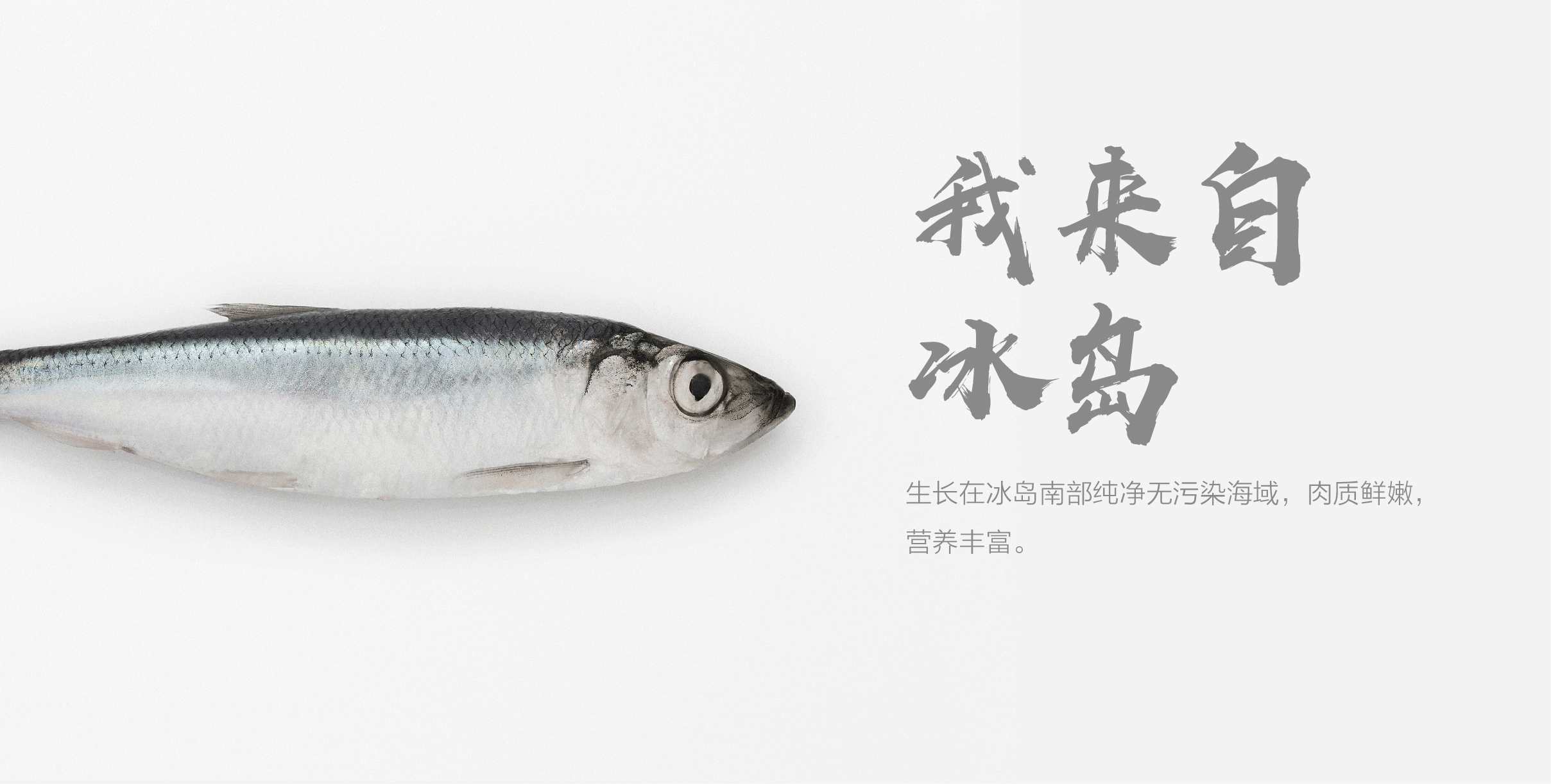 一款颠覆你三观的咸鱼冰皮月饼(图ZOTE0ODM1NjA=) - 商业插画 - 站酷设计师PIPPI__原创素材 - 站酷ZCOOL