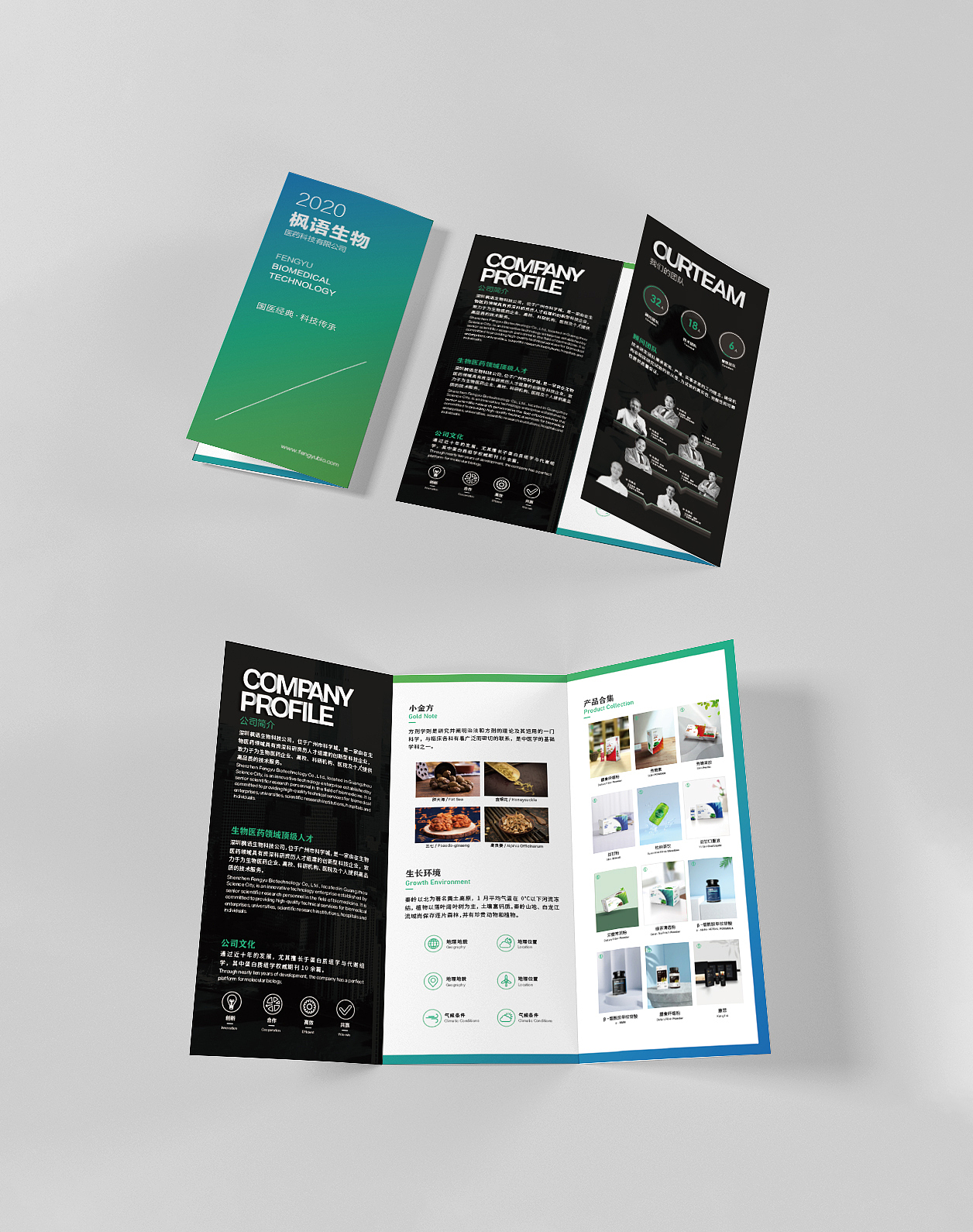 三折页（图ZMjY5MjkxODYw） - 宣传物料 - 站酷设计师马鲁设计原创素材 - 站酷ZCOOL