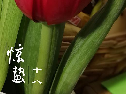 惊蛰（日签）（个人主页-ZMjYzNzM5MTI=） - 其他平面 - 站酷设计师小寒小寒原创素材 - 站酷ZCOOL