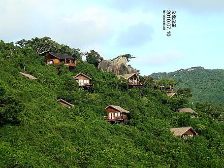 海南三亚热带森林公园景区风景