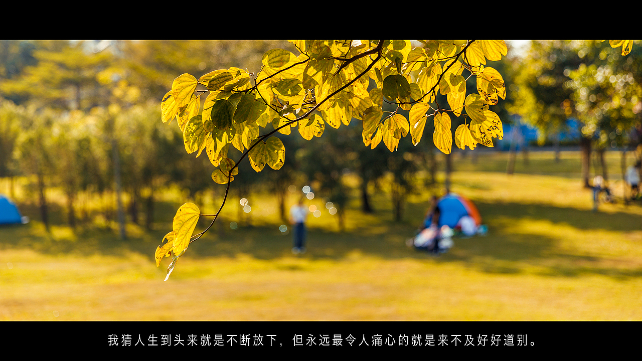 金秋的颜色（图ZMTg1NTYwODk2） - 风光摄影 - 站酷设计师一路记录原创素材 - 站酷ZCOOL