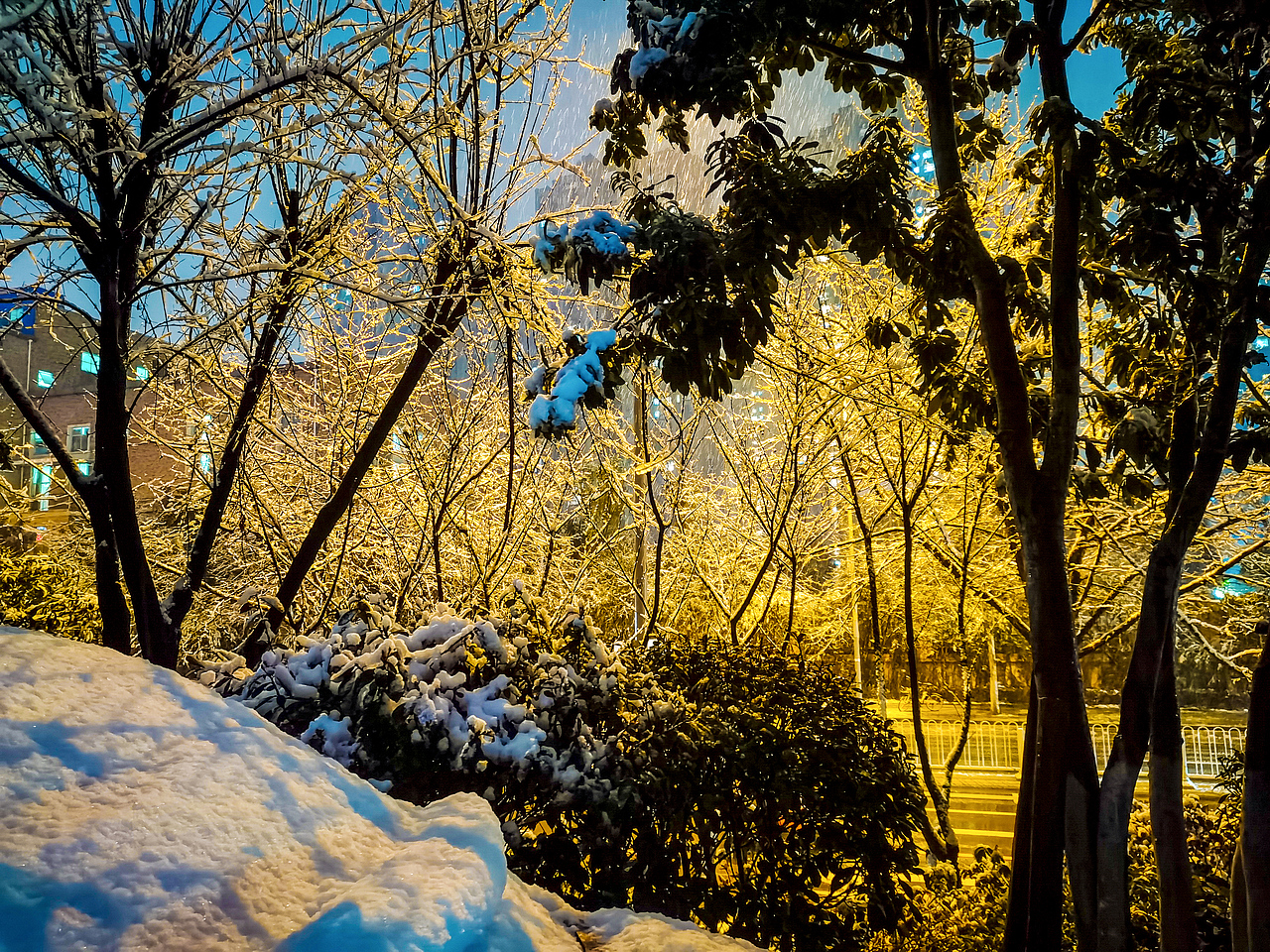 第一次的雪景（图ZMjkyMTYxOTky） - 风光摄影 - 站酷设计师幻玖原创素材 - 站酷ZCOOL