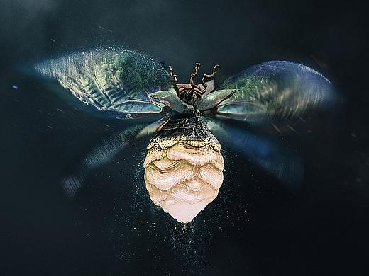 电影《阿修罗》海报设计