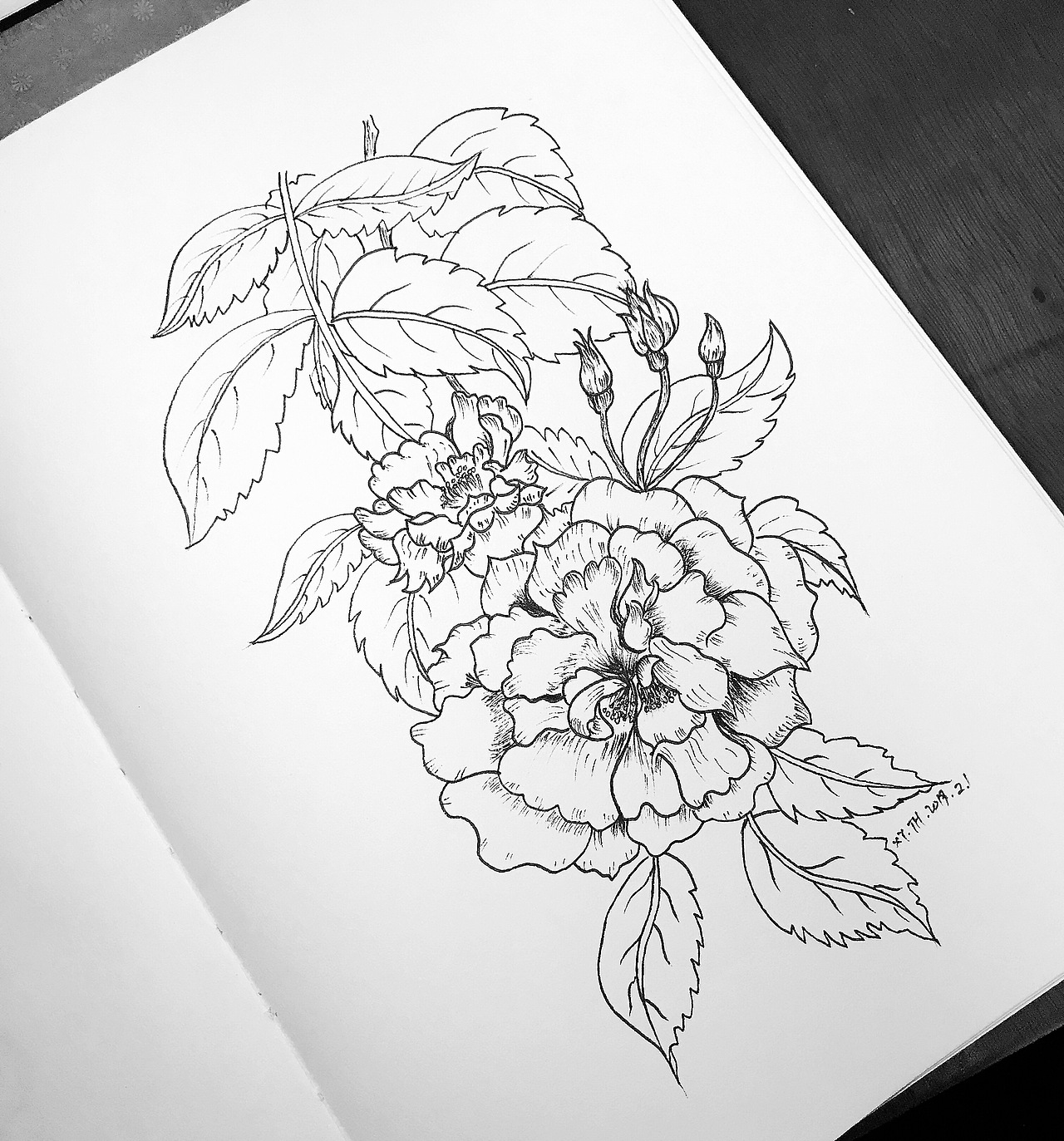 彩铅，针管笔作品【三】（图ZMTY0MDUxMTgw） - 创作习作 - 站酷设计师英子手绘插画控原创素材 - 站酷ZCOOL