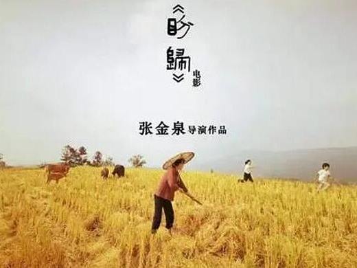 公益短片怎么策划更感人？
