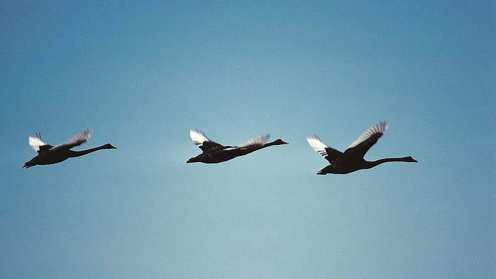 材料加工行业LOGO设计/VI设计-木饰界LOGO设计-墨尔本视觉设计ＶＩ设计（图ZNjcxMDUyMjA=） - Logo - 站酷设计师墨尔本视觉设计原创素材 - 站酷ZCOOL