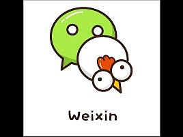 鸡主题