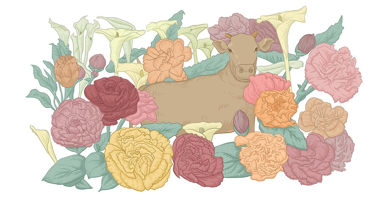 花店之十二星座