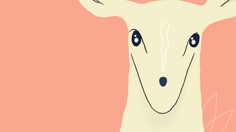 写作的喜悦 The Joy of Writing