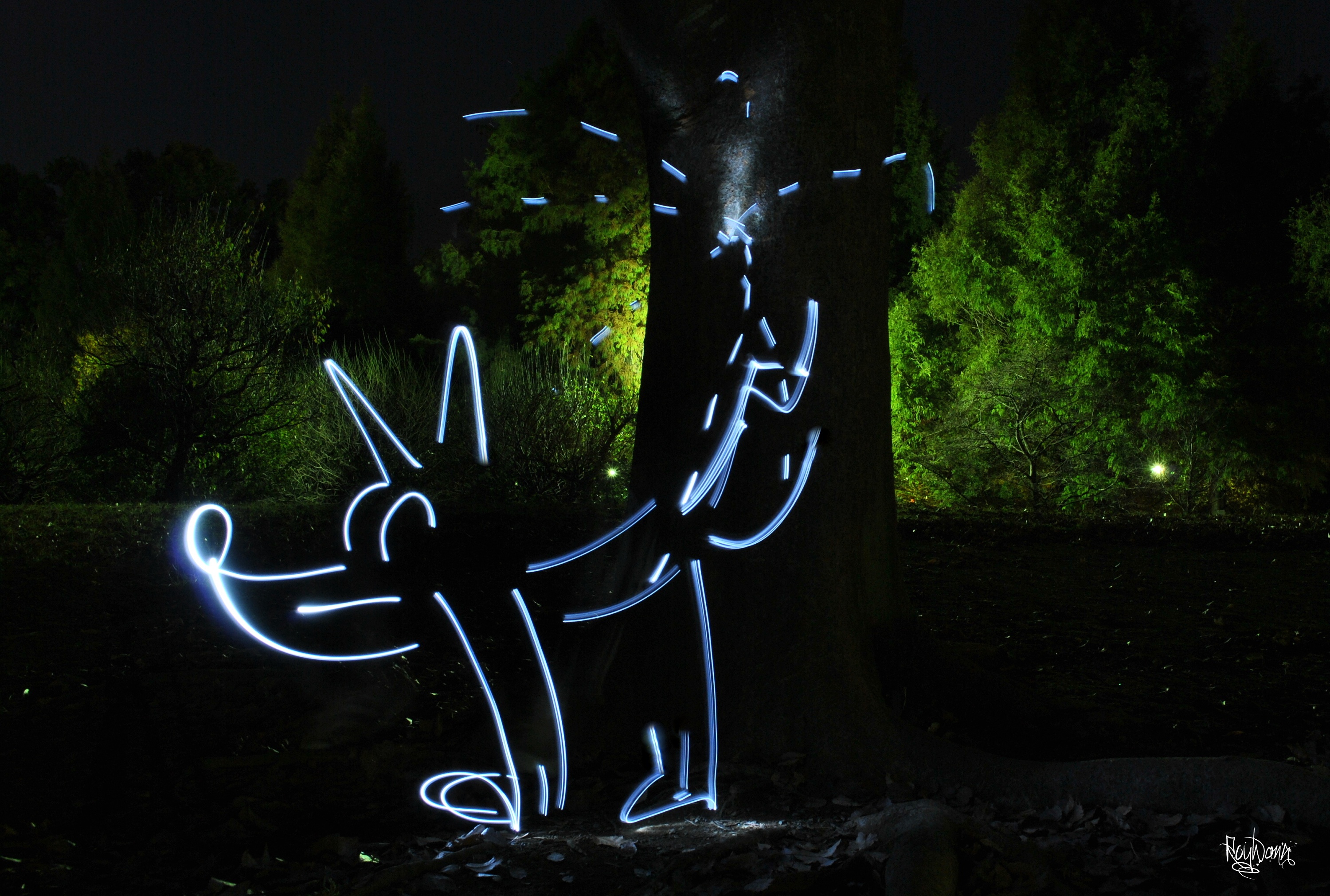 roywang 单色led灯光绘照片 (附光绘大猩猩拍摄过程)