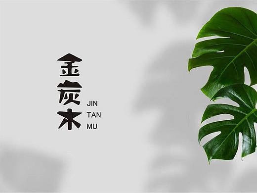金炭木-高端防腐木品牌设计（硕谷设计作品）