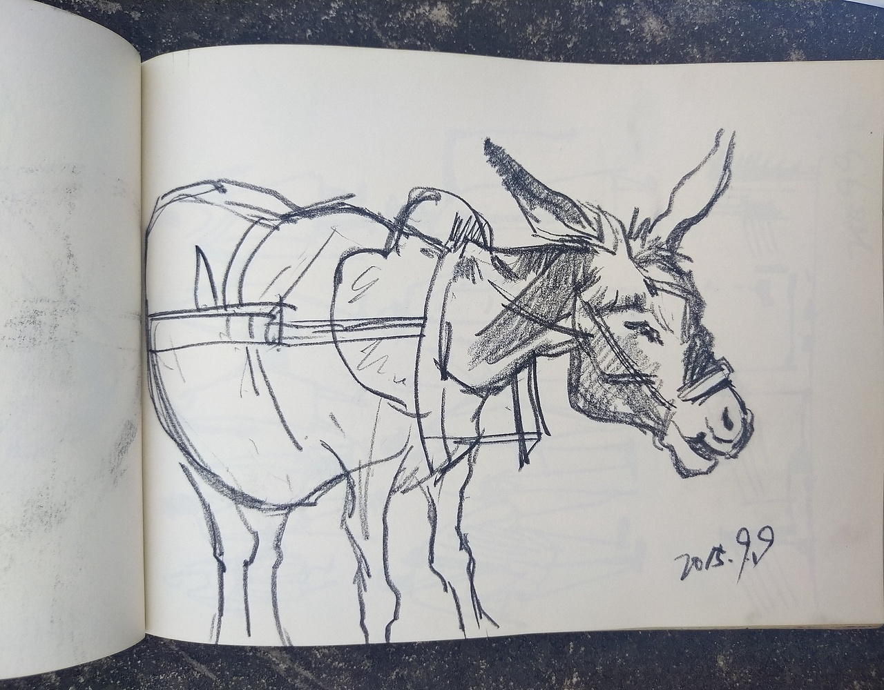 阿杜手绘速写阿杜速写