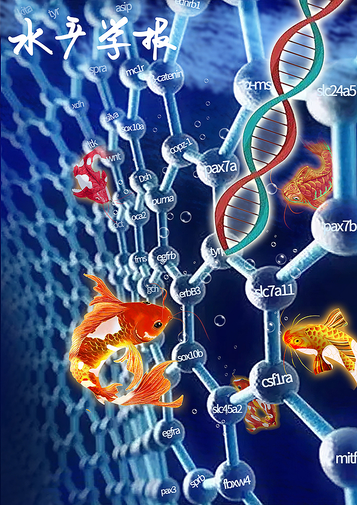 水产科学类杂志原创设计投稿 国潮风